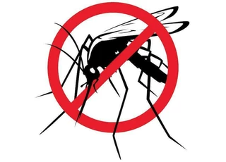 Szúnyoggyérítési tájékoztató